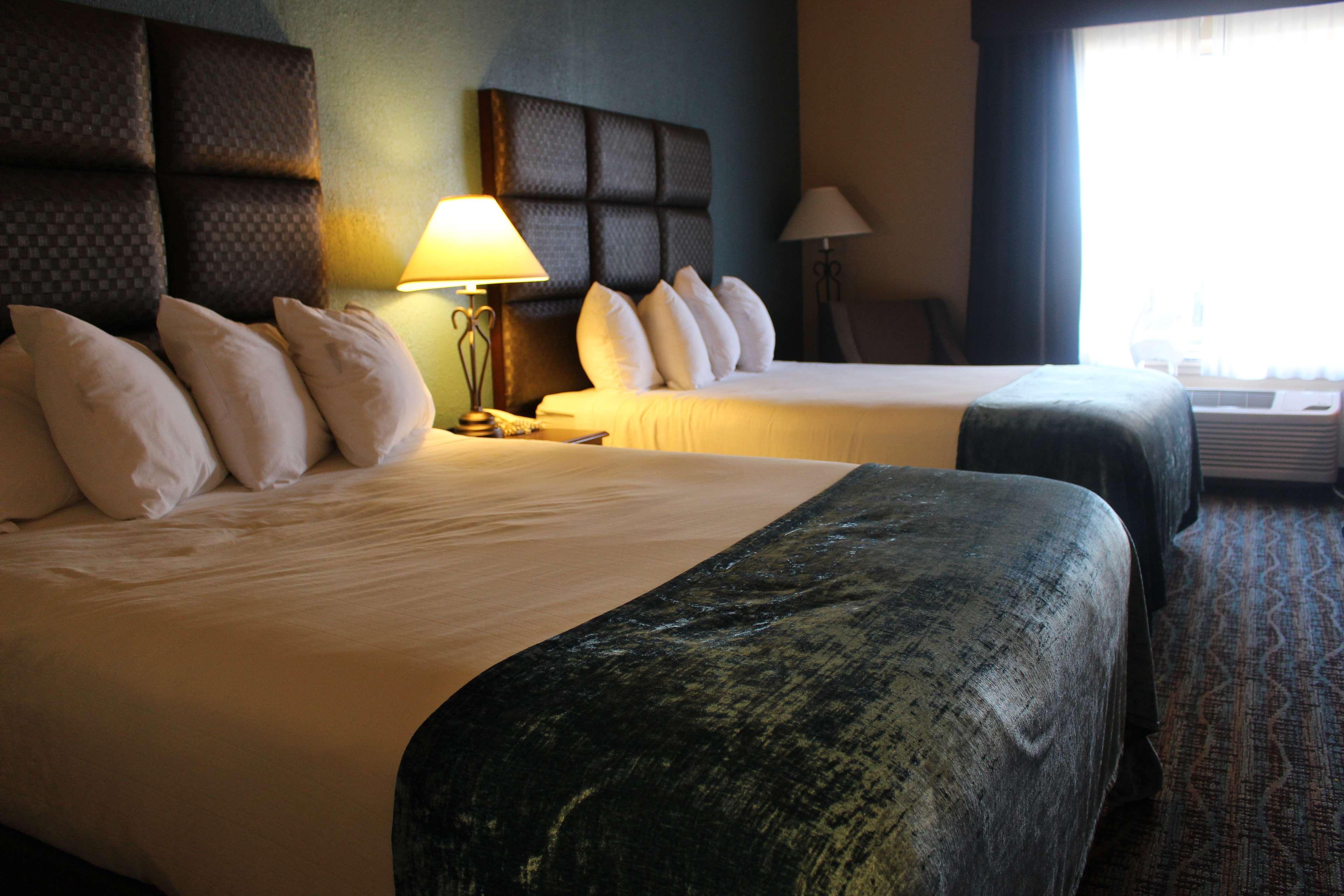 Best Western Holiday Manor Нютън Екстериор снимка
